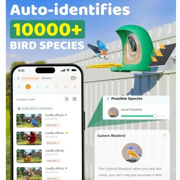 HIXX® Bird Feeder w/ Camera Solar Power Live Bird Watching Camera w/ AI Identify - Picture 6 of 13